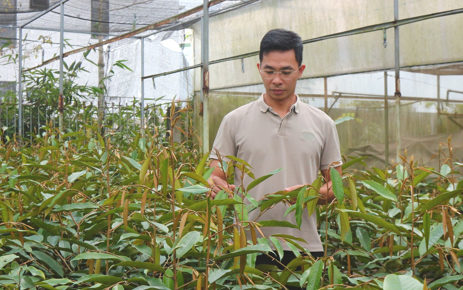 Khấm khá từ nghề ươm cây giống Khấm khá từ nghề ươm cây giống