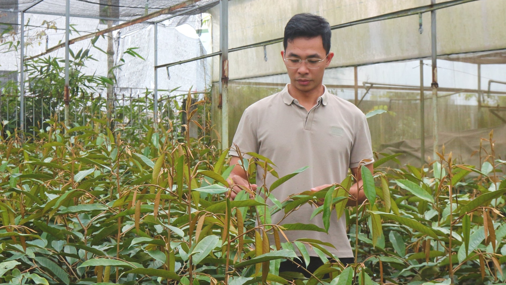 Lâm Đồng: Khấm khá từ nghề ươm cây giống