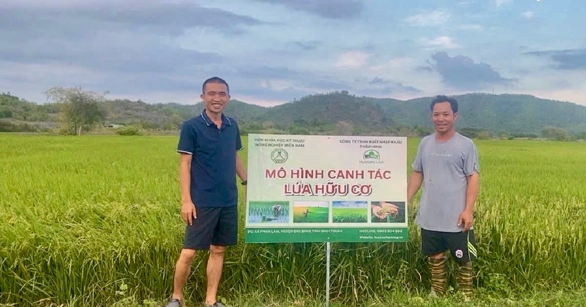 Giữ hồn lúa mẹ trên vùng cao Phan Sơn Giữ hồn lúa mẹ trên vùng cao Phan Sơn