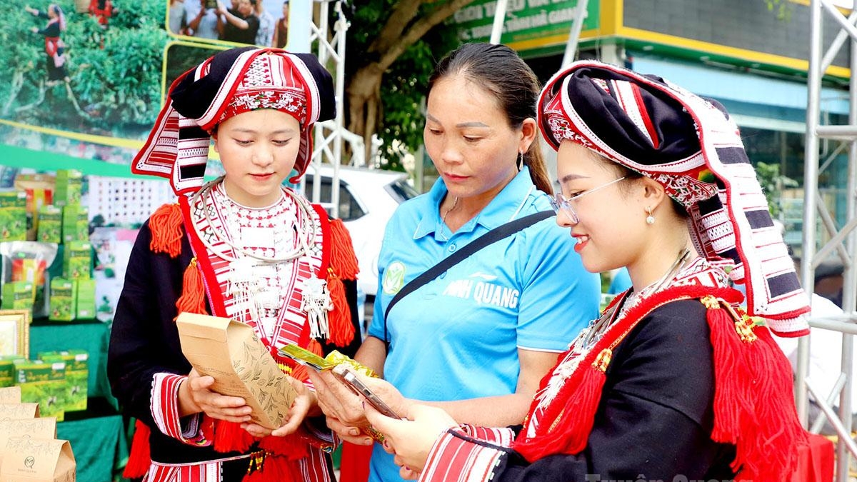 Tuyên Quang có 450 sản phẩm đạt chuẩn OCOP từ 3 sao trở lên