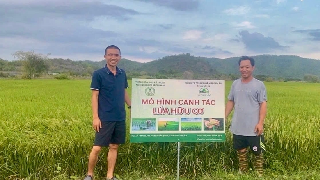 Lâm Đồng: Giữ hồn lúa mẹ trên vùng cao Phan Sơn