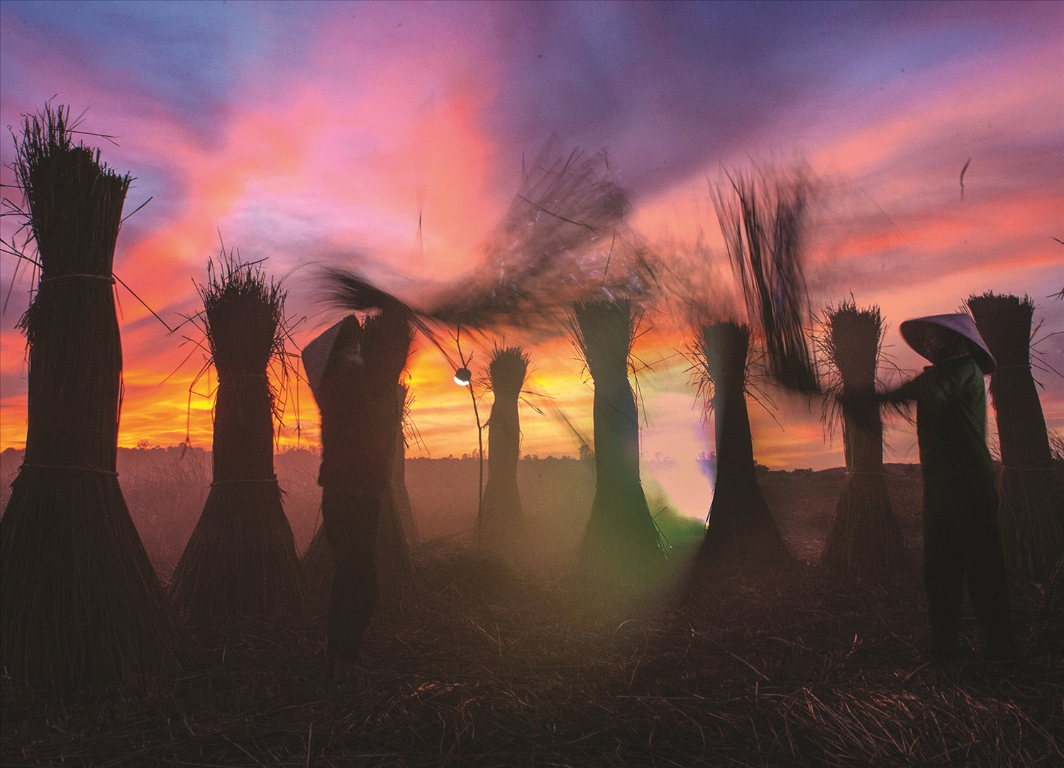 Rực rỡ sắc màu của làng nghề chiếu cói