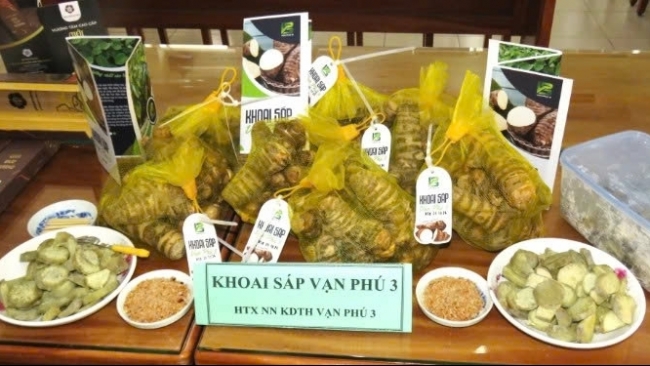 Khánh Hòa: Xã Vạn Ninh triển khai chương trình OCOP năm 2025