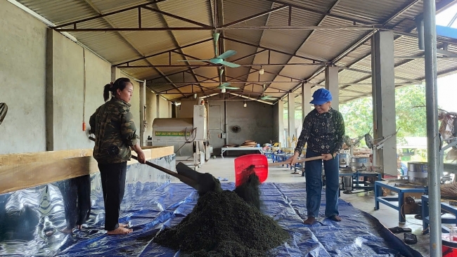 Niềm tin từ vùng chè xanh