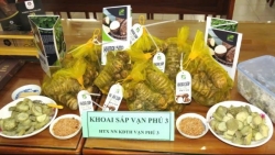 Khánh Hòa: Xã Vạn Ninh triển khai chương trình OCOP năm 2025