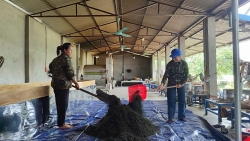 Niềm tin từ vùng chè xanh