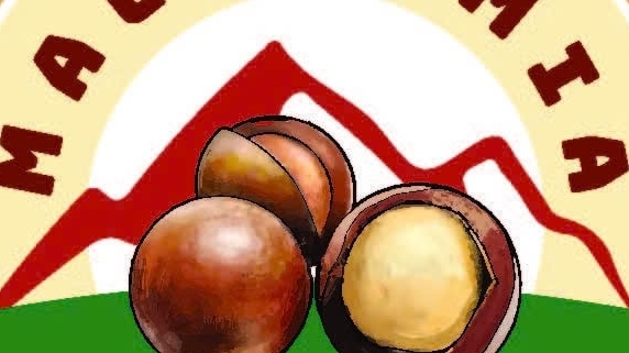 Nhãn hiệu chứng nhận “Mắc ca Lâm Đồng" - Đòn bẩy để “Kim cương xanh” vươn tầm quốc tế