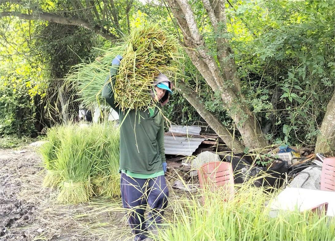 Ấn tượng chợ bán một mặt hàng nuôi sống hàng trăm gia đình người Khmer