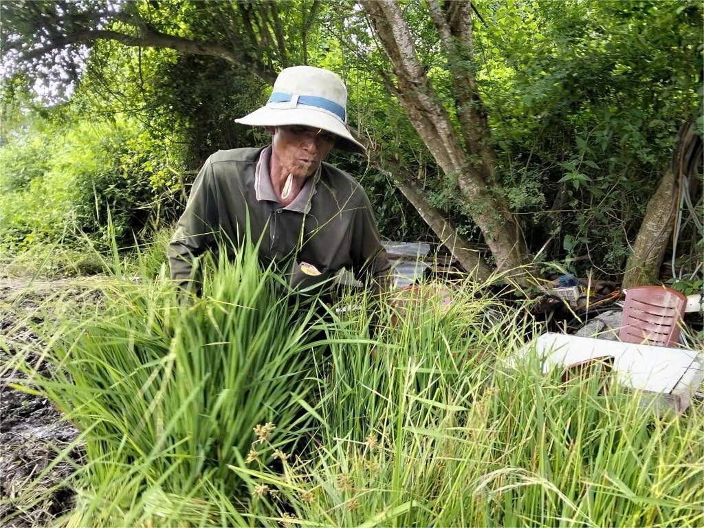 Ấn tượng chợ bán một mặt hàng nuôi sống hàng trăm gia đình người Khmer