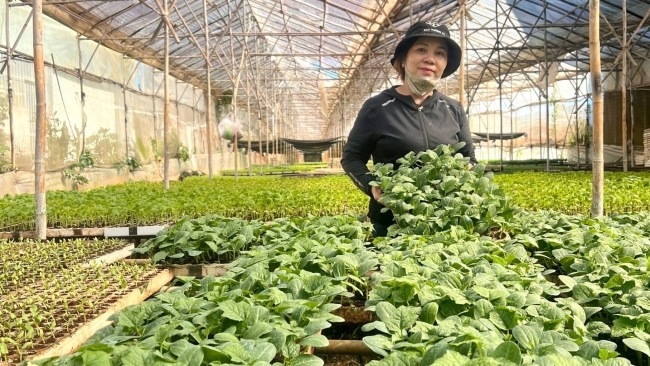 Lâm Đồng: Đức Trọng khơi dậy tiềm năng để phát triển