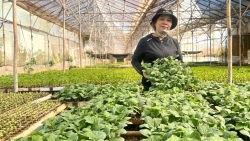 Lâm Đồng: Đức Trọng khơi dậy tiềm năng để phát triển