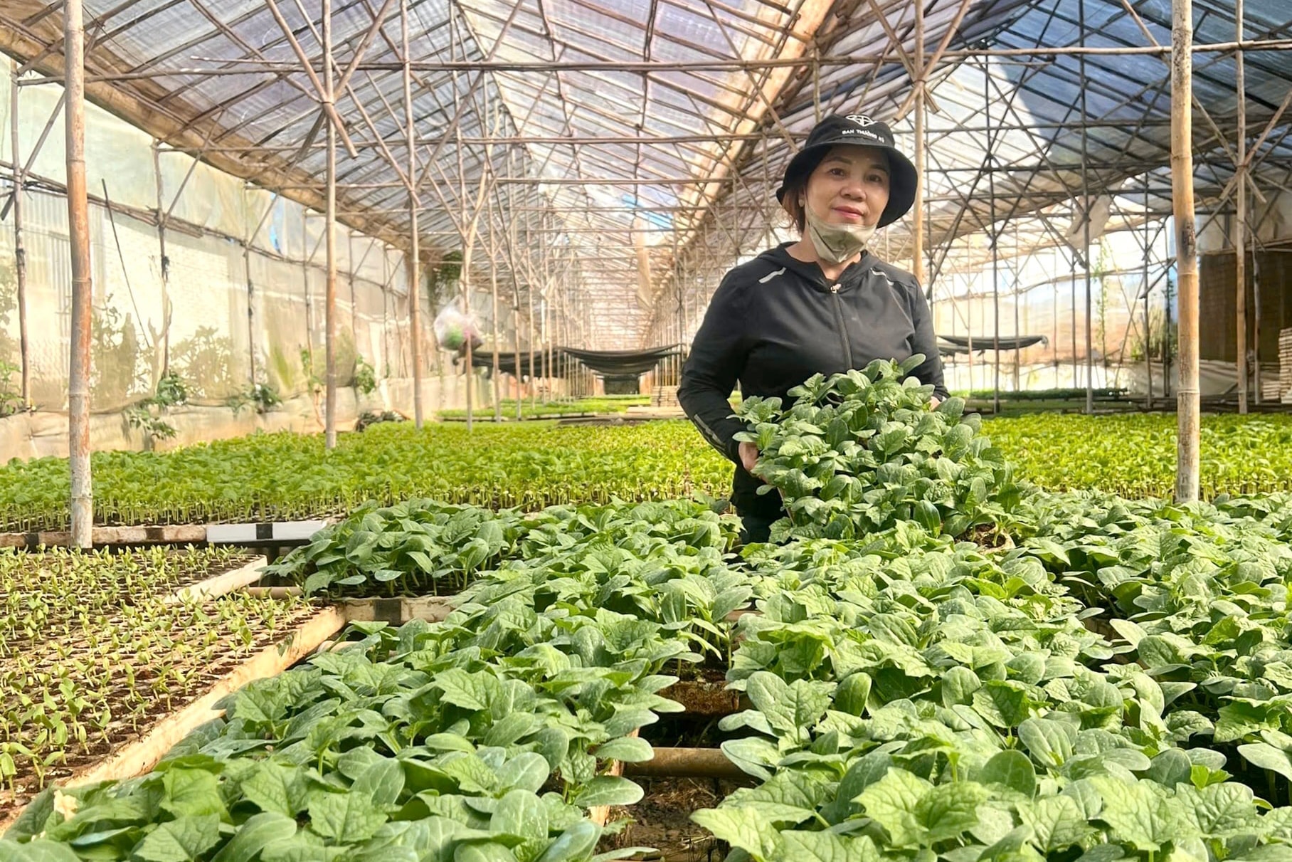 Lâm Đồng: Đức Trọng khơi dậy tiềm năng để phát triển Lâm Đồng: Đức Trọng khơi dậy tiềm năng để phát triển