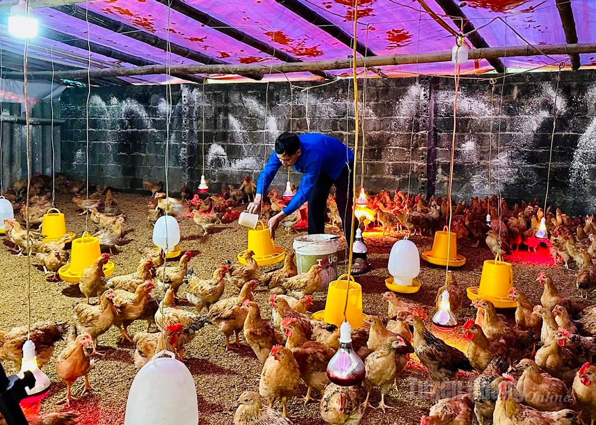 Tuyên Quang: Sức trẻ khởi nghiệp sáng tạo Tuyên Quang: Sức trẻ khởi nghiệp sáng tạo