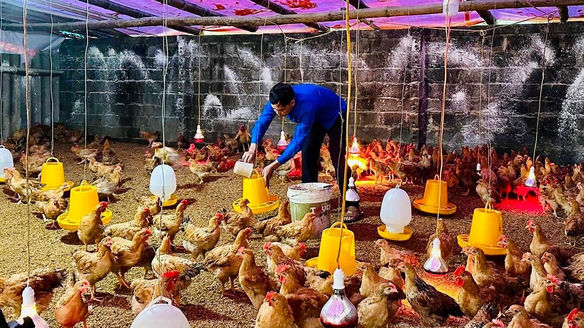 Tuyên Quang: Sức trẻ khởi nghiệp sáng tạo