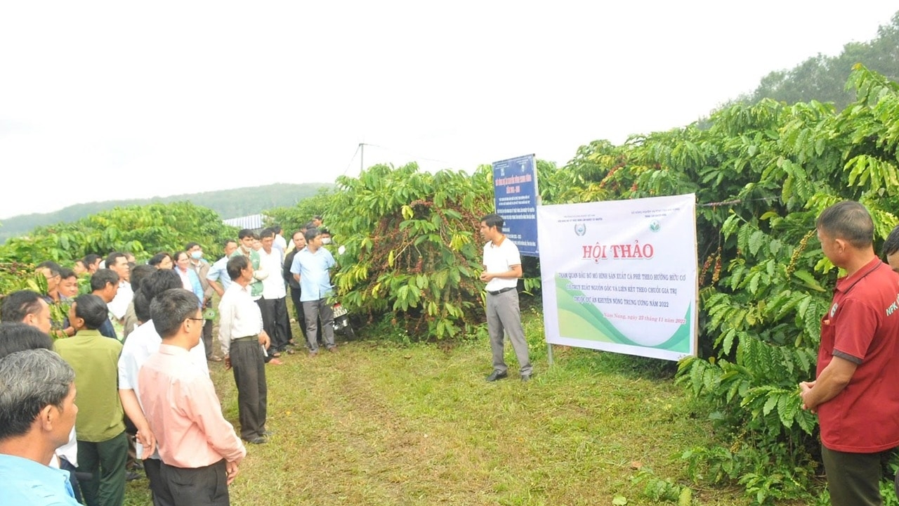 Cà phê Lâm Đồng đã có “danh xưng”