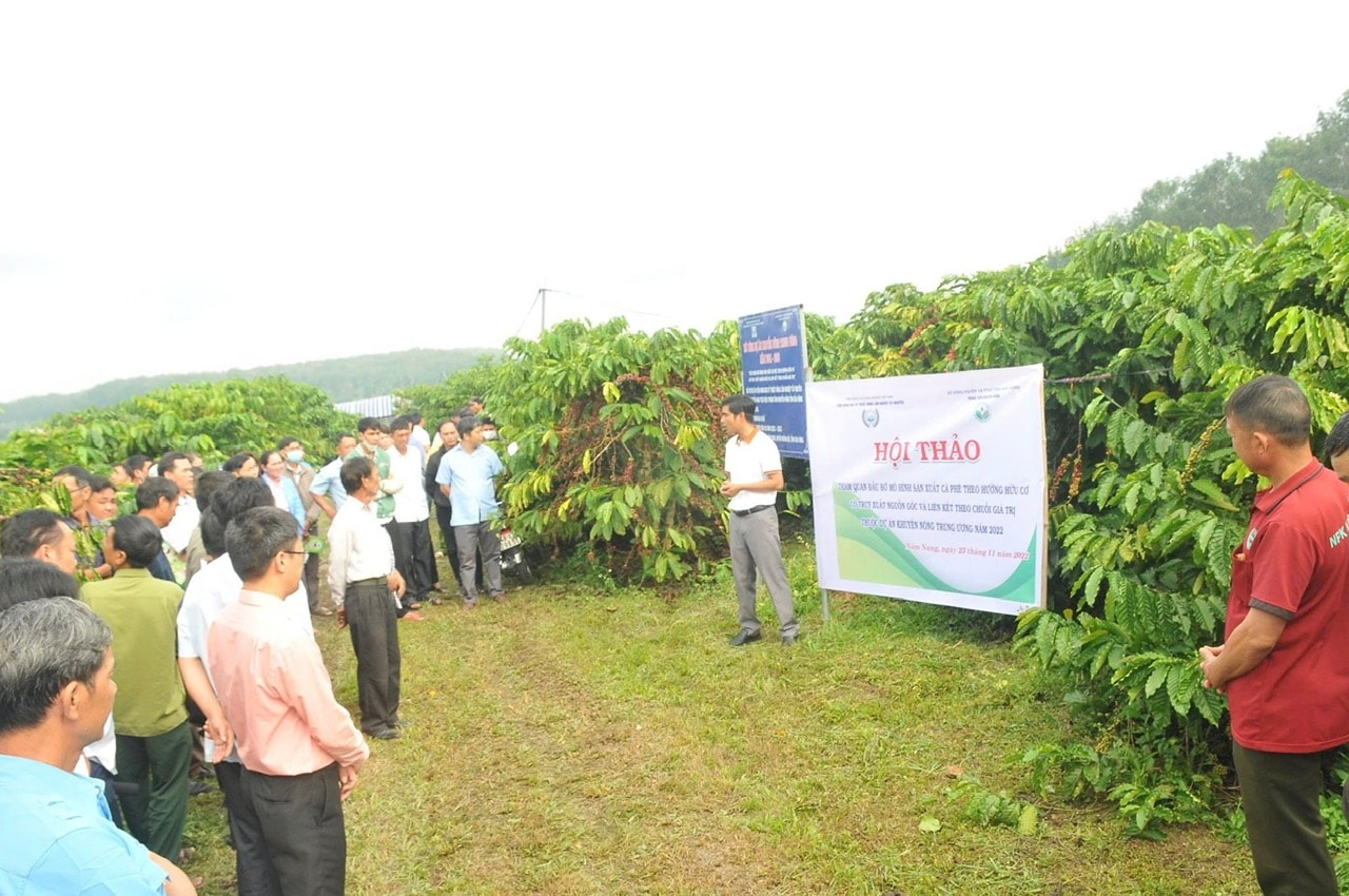 Cà phê Lâm Đồng đã có “danh xưng” Cà phê Lâm Đồng đã có “danh xưng”