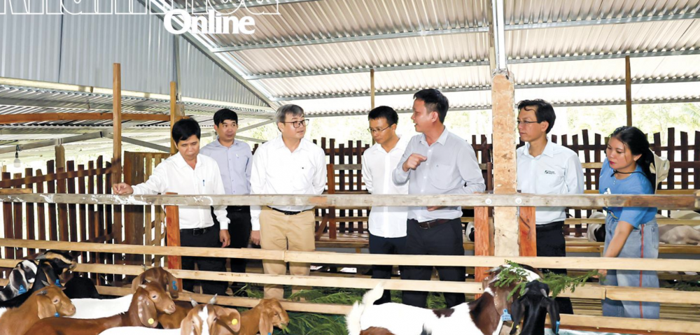 Mở hướng phát triển chăn nuôi gắn với du lịch sinh thái Mở hướng phát triển chăn nuôi gắn với du lịch sinh thái