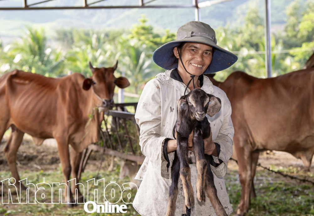 Mở hướng phát triển chăn nuôi gắn với du lịch sinh thái Mở hướng phát triển chăn nuôi gắn với du lịch sinh thái