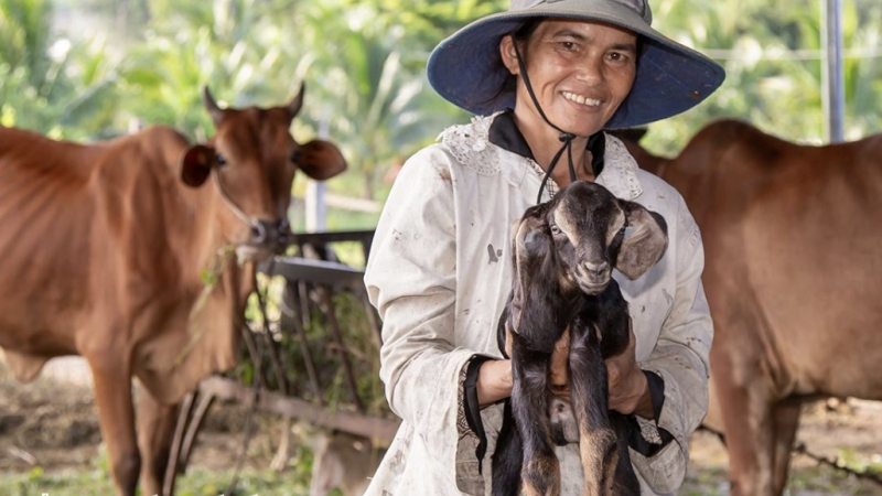 Khánh Hoà: Mở hướng phát triển chăn nuôi gắn với du lịch sinh thái