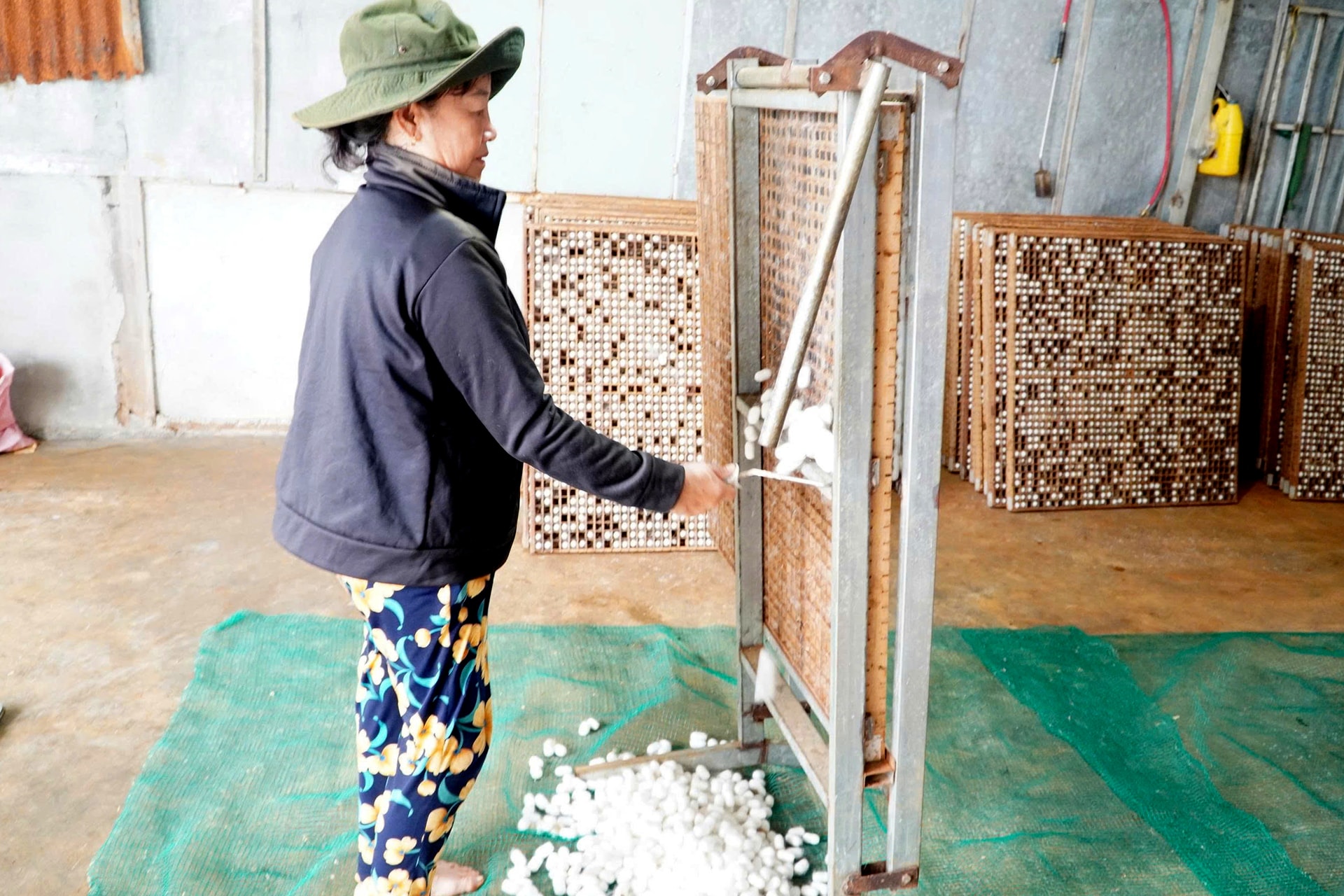 Lâm Đồng: “Nghề ăn cơm đứng” giúp hàng trăm hộ dân Lâm Đồng đổi