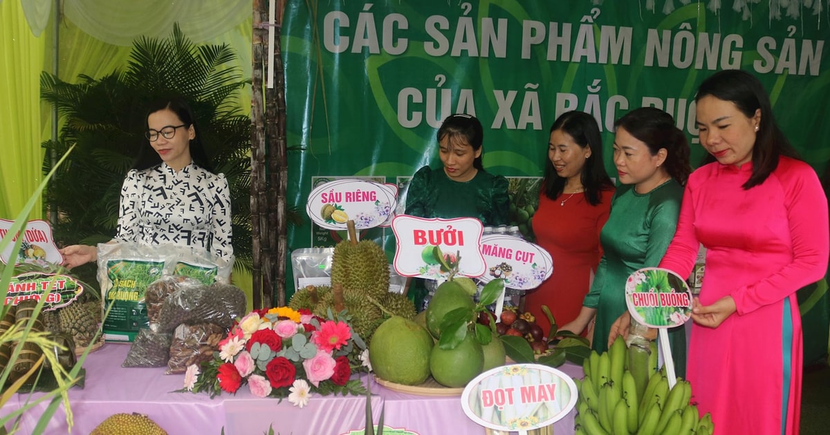 Nhiều mô hình sản xuất, kinh doanh ở nông thôn mới