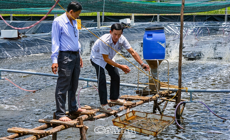 Ngành tôm Cà Mau: Phát triển chưa tương xứng với tiềm năng - Bài 1: Nhiều thách thức