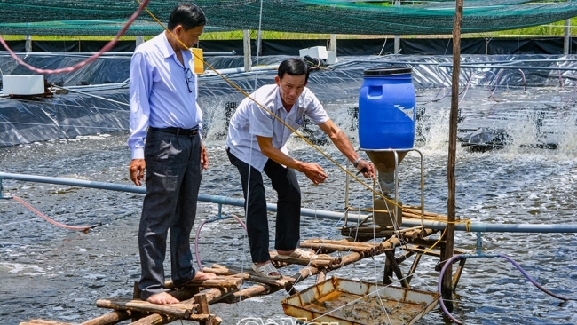 Ngành tôm Cà Mau: Phát triển chưa tương xứng với tiềm năng - Bài 1: Nhiều thách thức