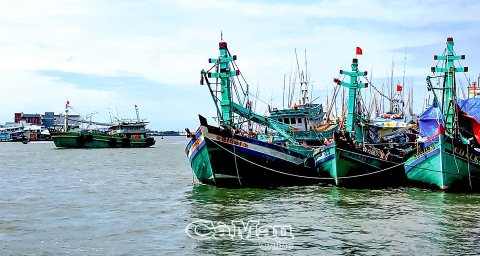 Cà Mau: Ðoàn kết ứng phó thiên tai
