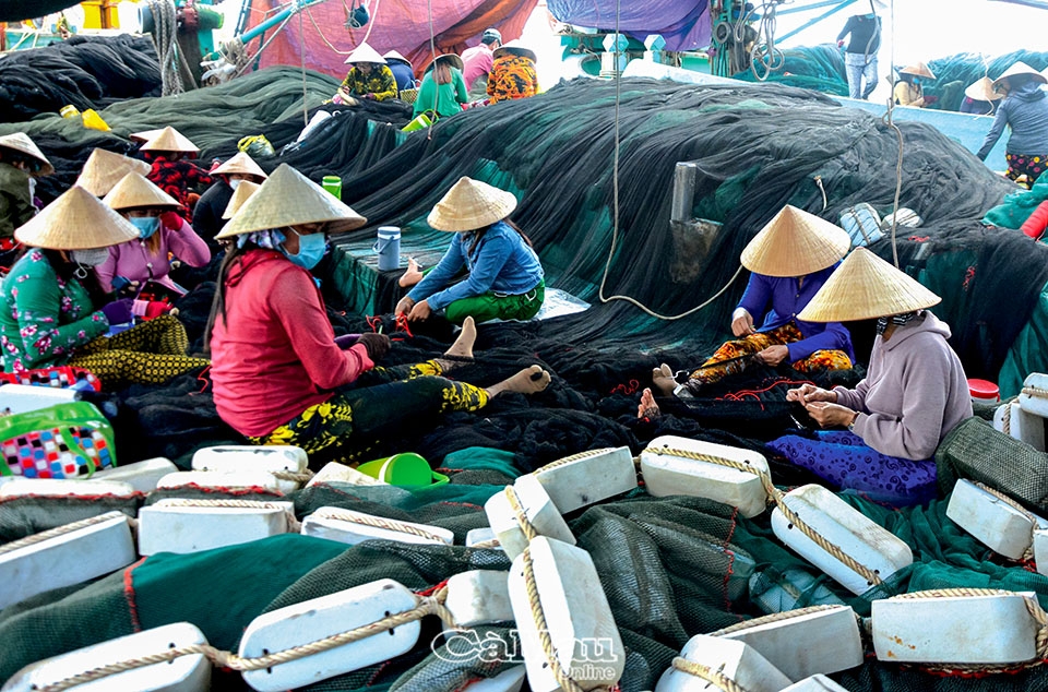 Cà Mau: Ðoàn kết ứng phó thiên tai