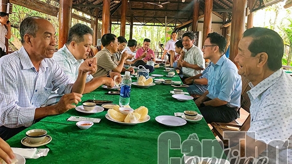 Càn Thơ: Về làng bưởi Tân Triều