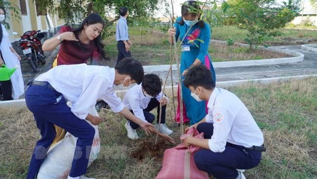 Bến Tre: Cây xanh bảo vệ môi trường sinh thái trong lành