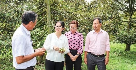 Cần Thơ: Huyện Thới Lai nỗ lực hoàn thành nhiệm vụ