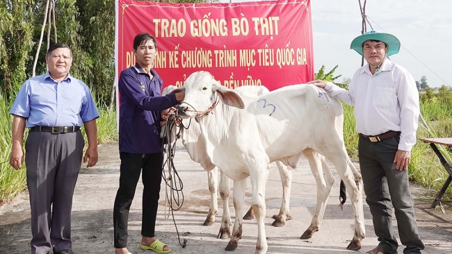 An Giang: Xứ cù lao nỗ lực giảm nghèo