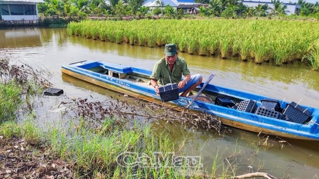 Cà Mau: Ða canh phù hợp cho thu nhập cao