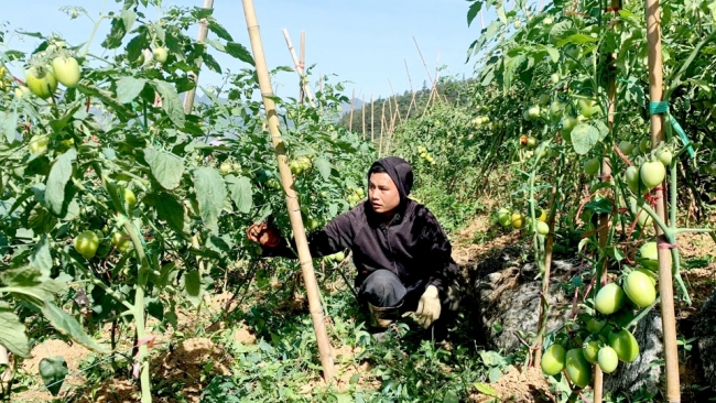 Hà Giang: Khởi sắc trên vùng đất biên cương Nghĩa Thuận