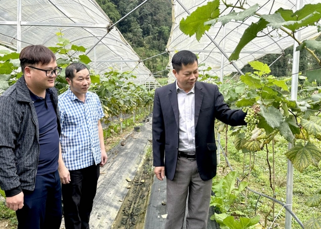 Hà Giang: Đồng Văn nỗ lực triển khai các dự án giảm nghèo