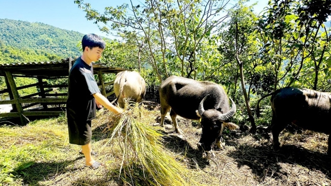 Hà Giang: Hạ tầng đổi mới, đời sống nâng cao