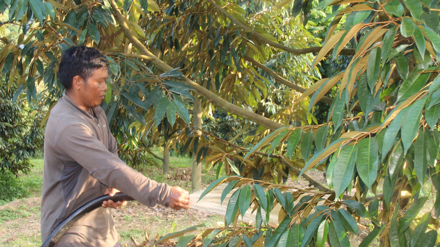 Khánh Hòa: Khánh Sơn quyết tâm không để tái nghèo