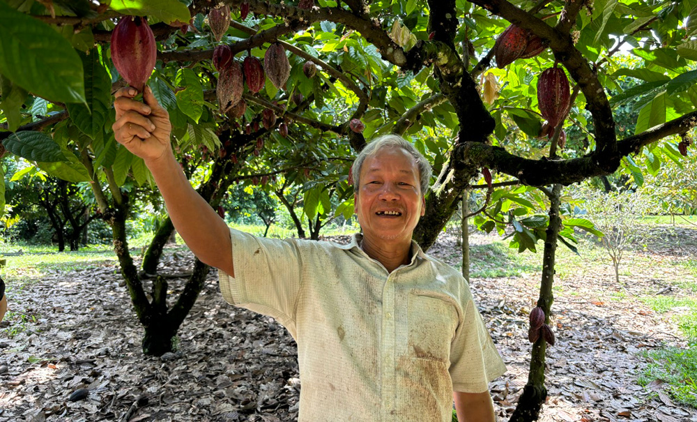 Lâm Đồng: Bản Cacao liên kết xây dựng vùng nguyên liệu xuất khẩu Hàn Quốc