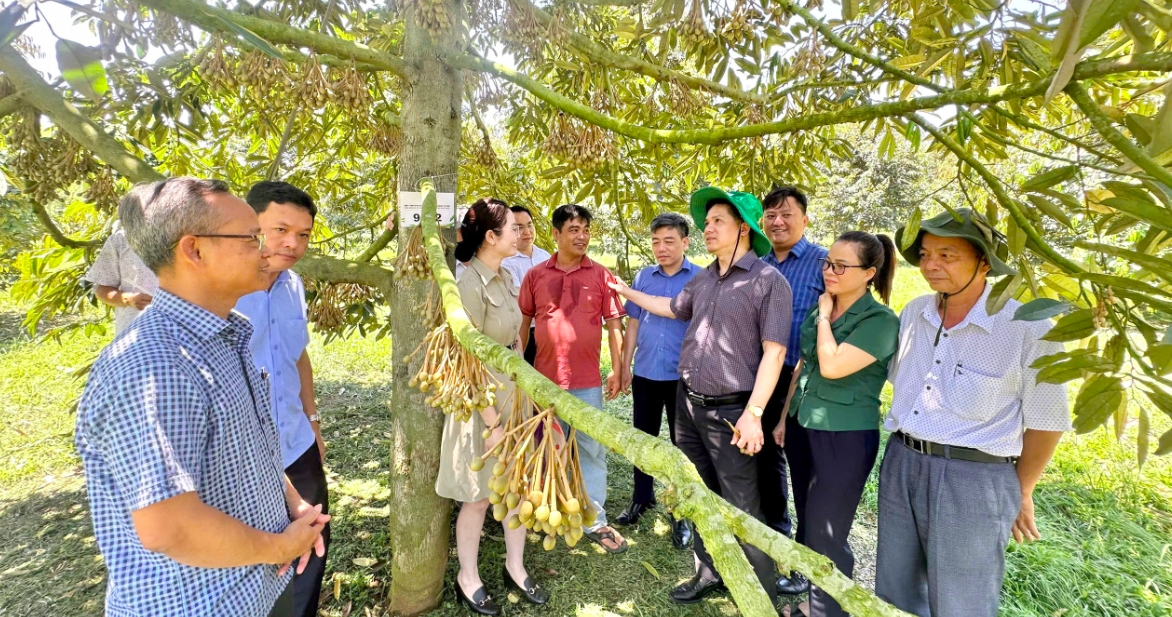 Phú Yên: Thí điểm xây dựng các mô hình du lịch nông thôn