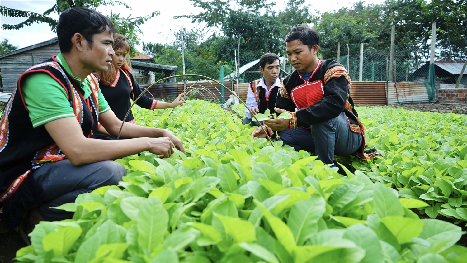 Gặp thanh niên người Gia Rai khởi nghiệp thành công ở vùng đất "chảo lửa"