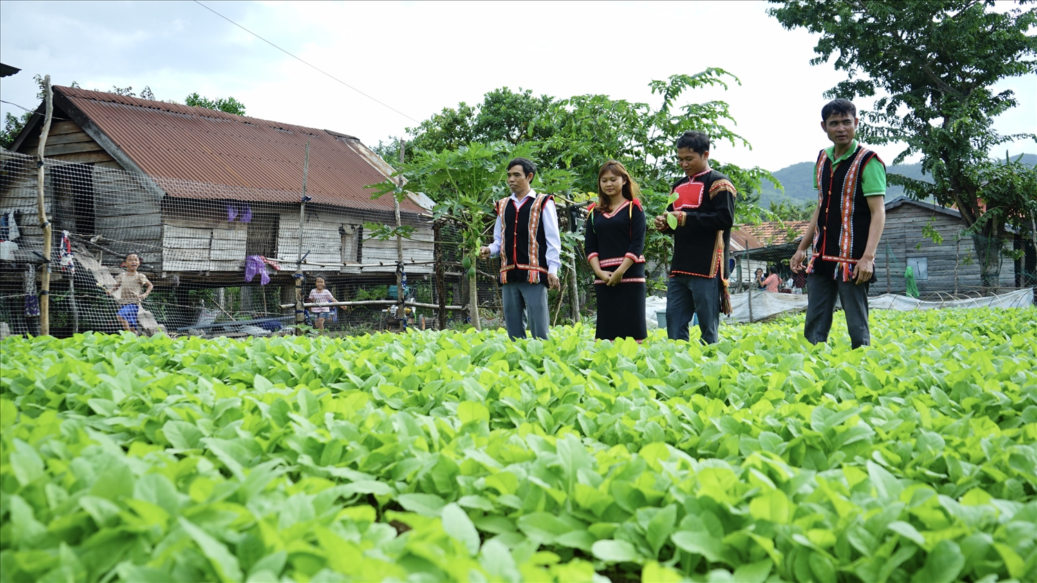 Gặp thanh niên người Gia Rai khởi nghiệp thành công ở vùng đất "chảo lửa"