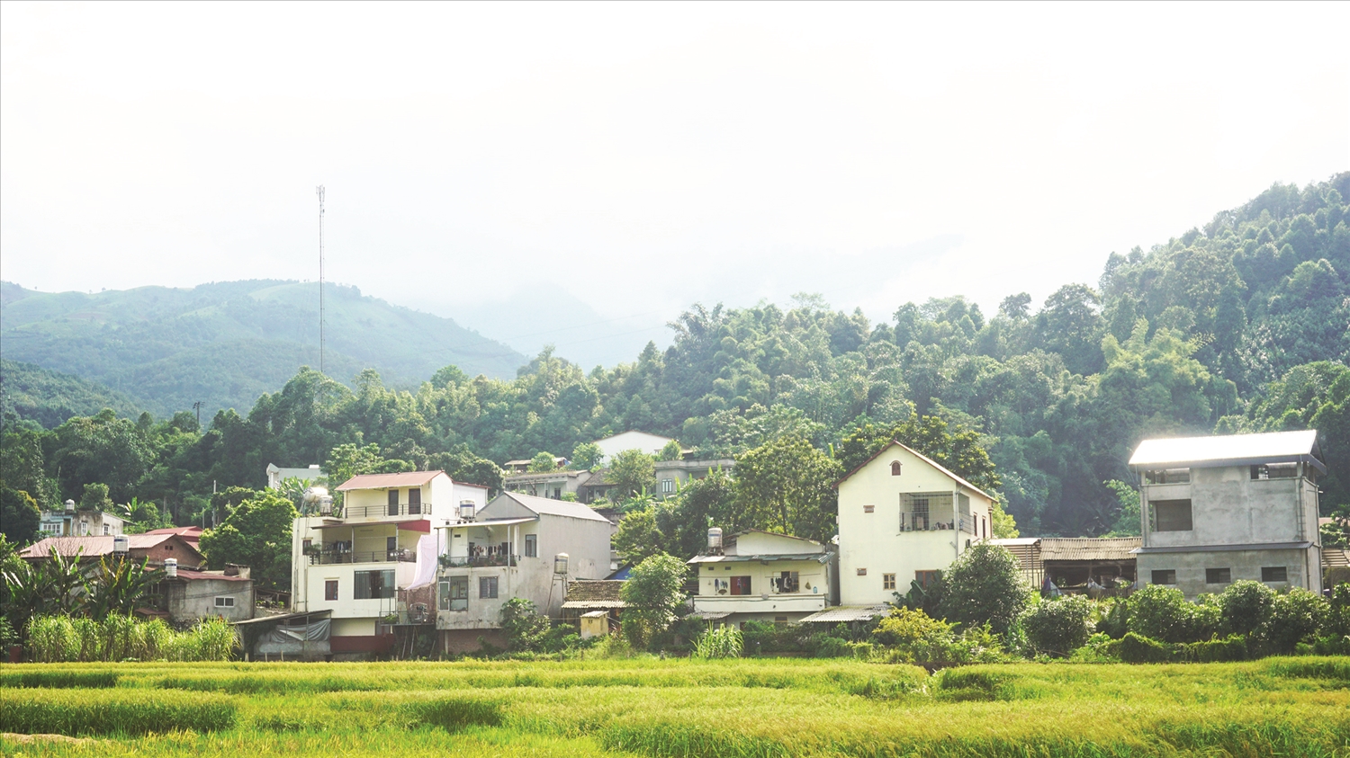 Nữ Bí thư Chi bộ người Dao mang sức trẻ xây dựng quê hương Nữ Bí thư Chi bộ người Dao mang sức trẻ xây dựng quê hương