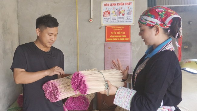 Nữ Bí thư Chi bộ người Dao mang sức trẻ xây dựng quê hương