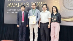 Tuyên Quang: Trà Shan tuyết Hồ Thầu thương hiệu vàng thế giới