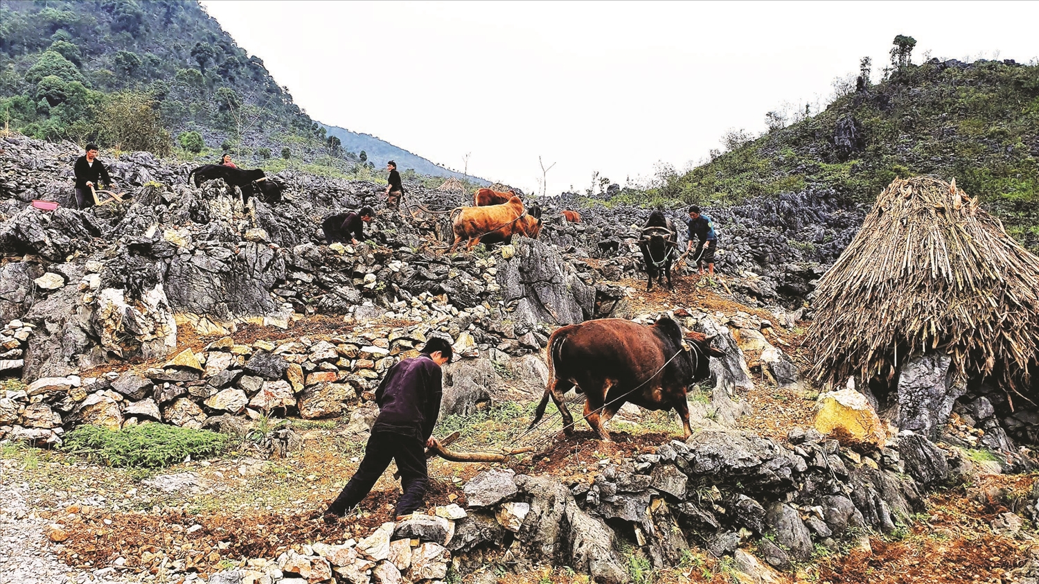 Gieo niềm tin từ gian khó, vun đắp mạch nguồn cho mai sau…