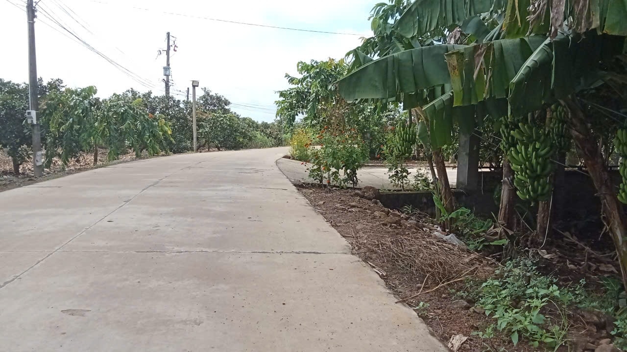 Lâm Đồng: Khi Trà Tân có thêm công nghiệp