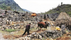 Gieo niềm tin từ gian khó, vun đắp mạch nguồn cho mai sau…