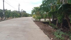 Lâm Đồng: Khi Trà Tân có thêm công nghiệp