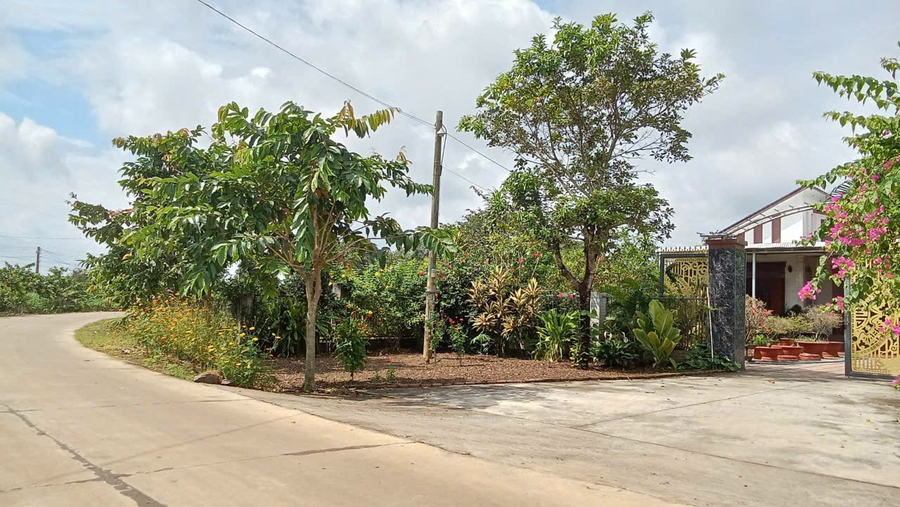 Lâm Đồng: Khi Trà Tân có thêm công nghiệp